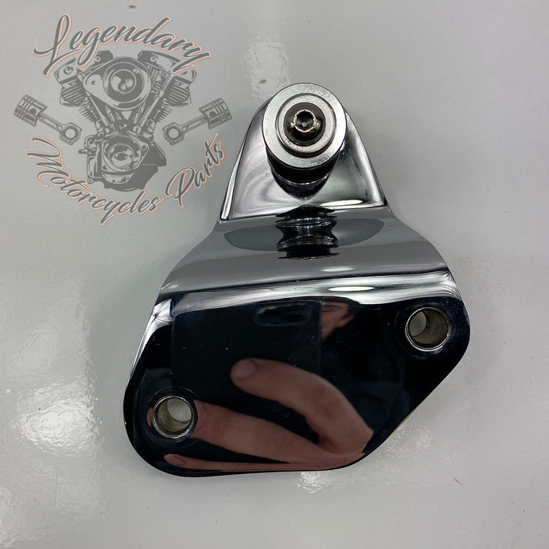 Kit de fixation de sissy bar Detachables OEM 54030-09