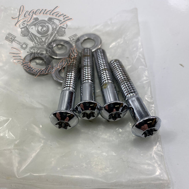 Kit de fixation de sissy bar Detachables OEM 54030-09