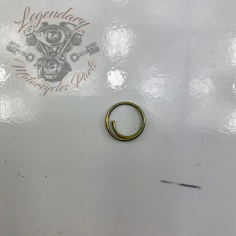 Tour Pak Anti-Theft OEM 54360-05