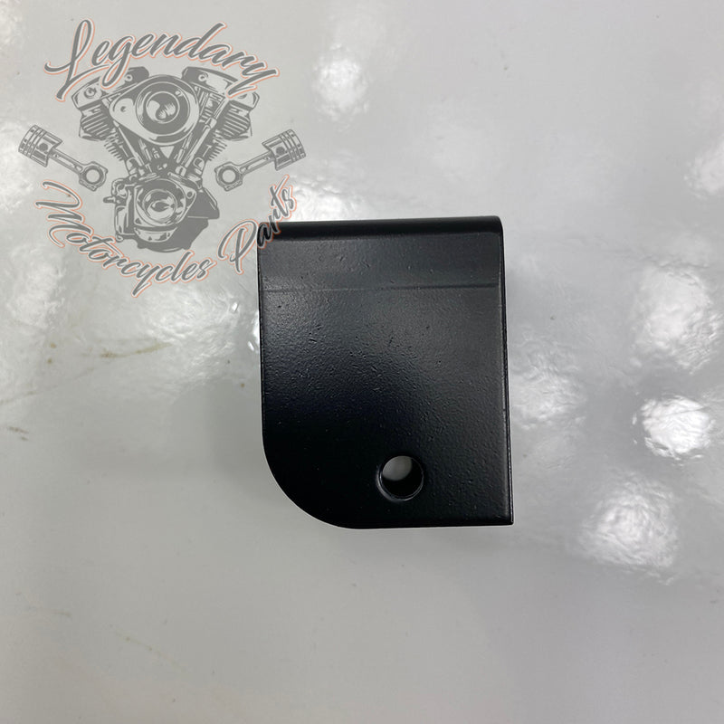 Tour Pak Anti-Theft OEM 54360-05