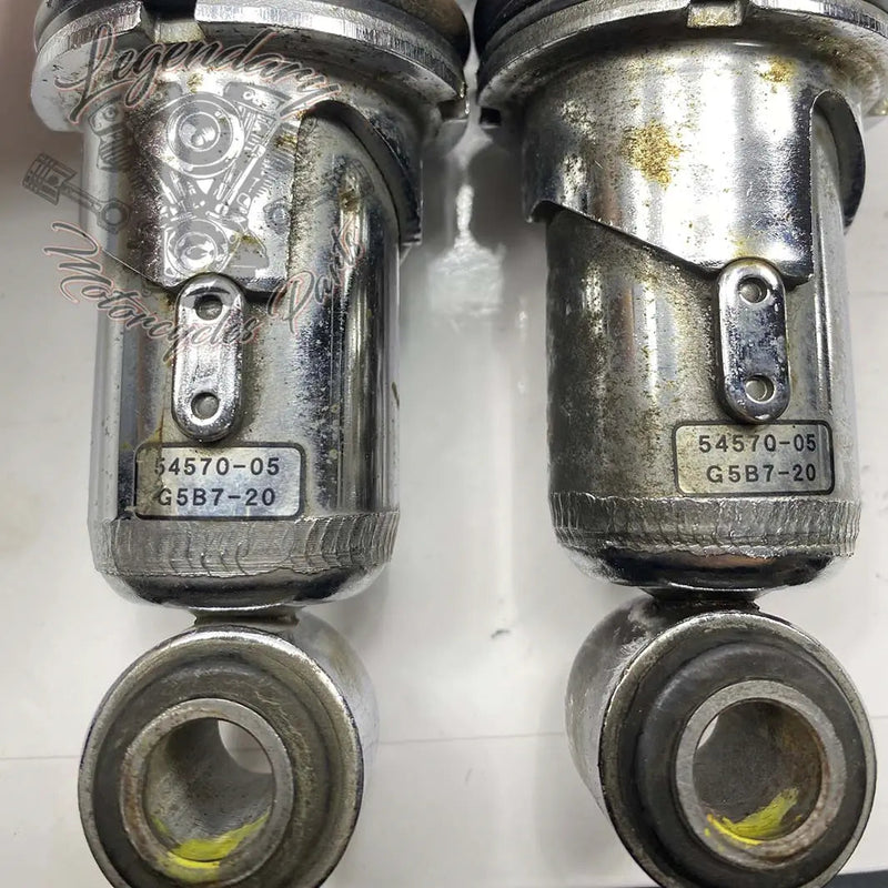 Ammortizzatori OEM 54570-05