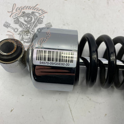 Amortisseurs OEM 54570-09