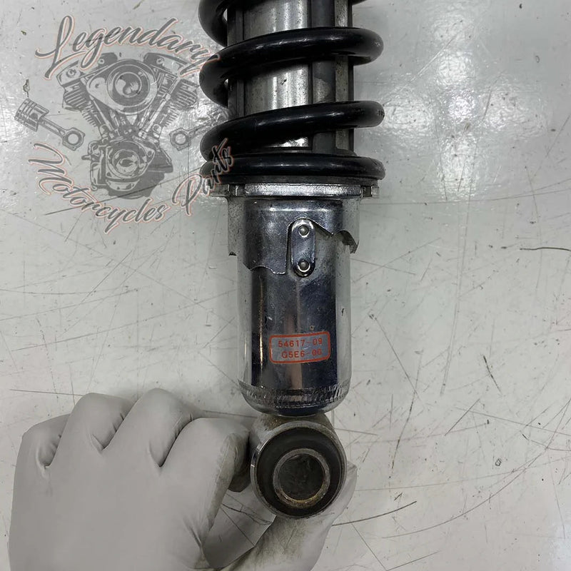 Ammortizzatori OEM 54617-09