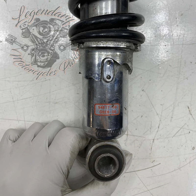 Ammortizzatori OEM 54617-09