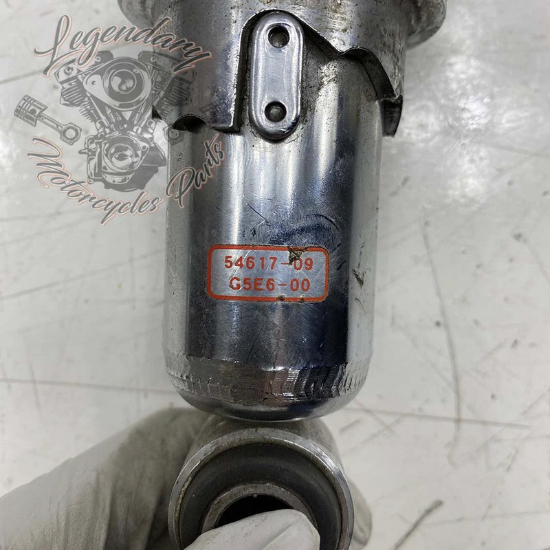 Ammortizzatori OEM 54617-09