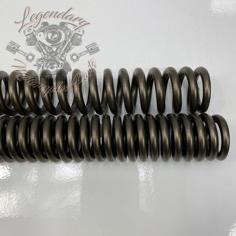 Kit de suspensión delantera rebajado OEM 54758-07