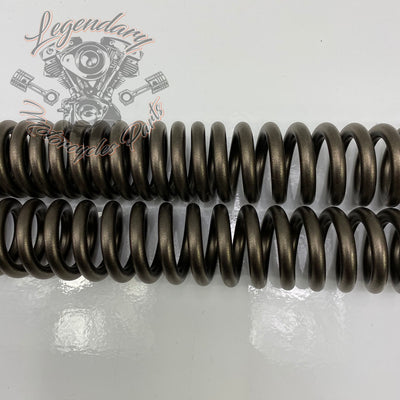 Kit de suspensión delantera rebajado OEM 54758-07