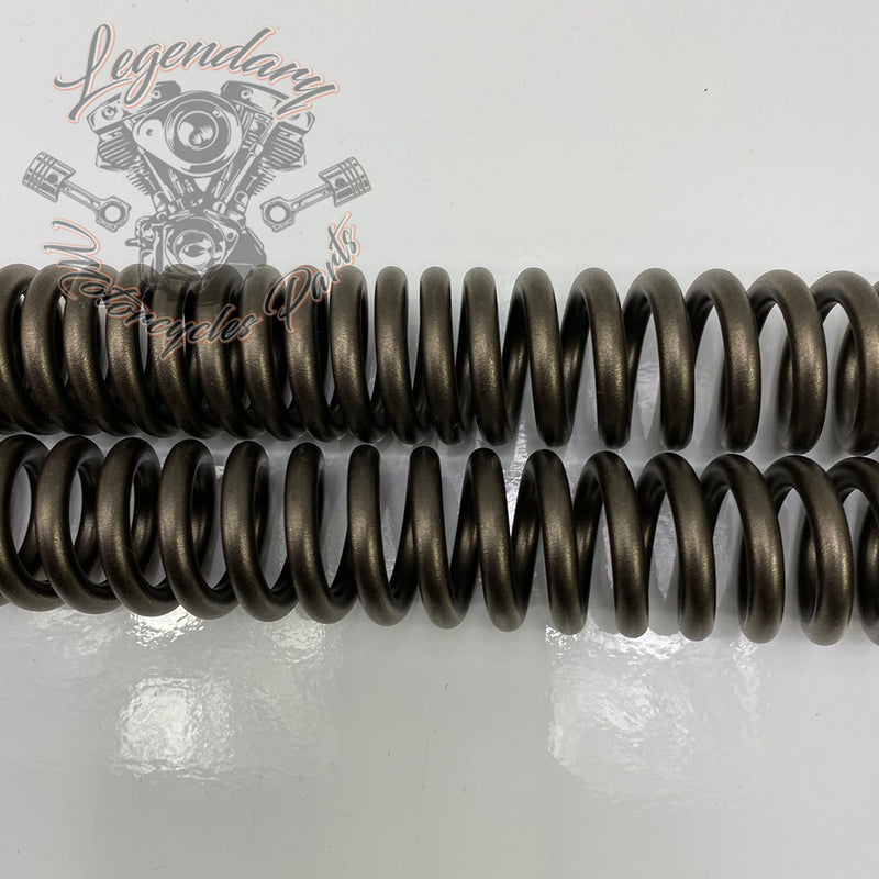 Kit de suspensión delantera rebajado OEM 54758-07