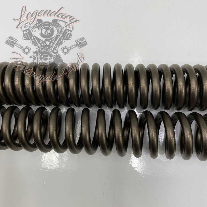 Kit de suspensión delantera rebajado OEM 54758-07