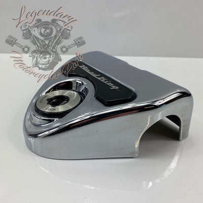 OEM-Schalterabdeckung 55800091