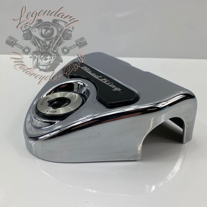 OEM-Schalterabdeckung 55800091