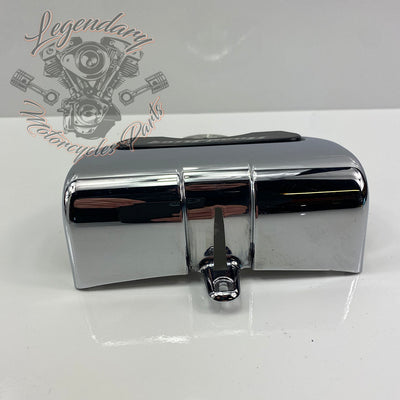 OEM-Schalterabdeckung 55800091