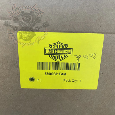 Fairing OEM 57000381EAM