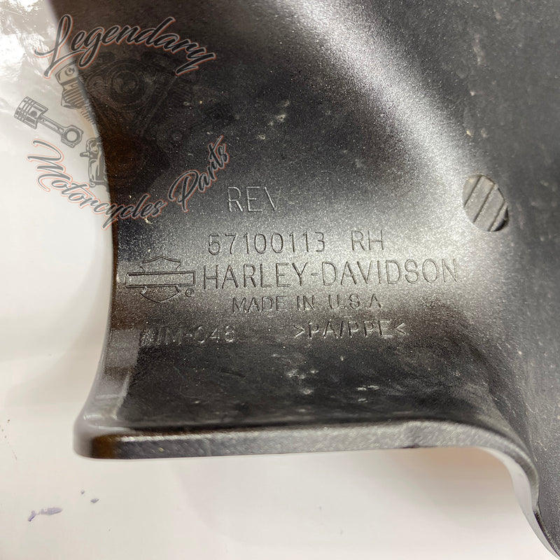 Lower Right Fairing Cowl OEM 57100113