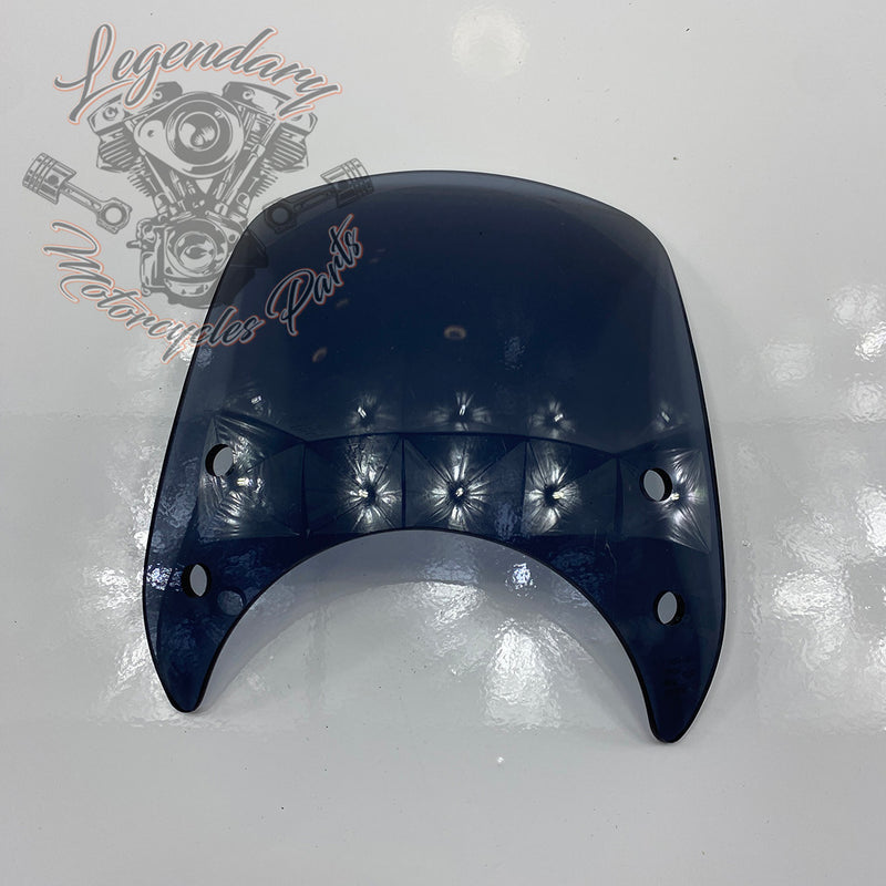 Windshield OEM 57400184