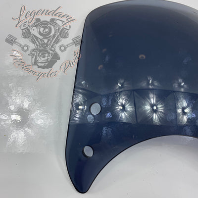 Windshield OEM 57400184