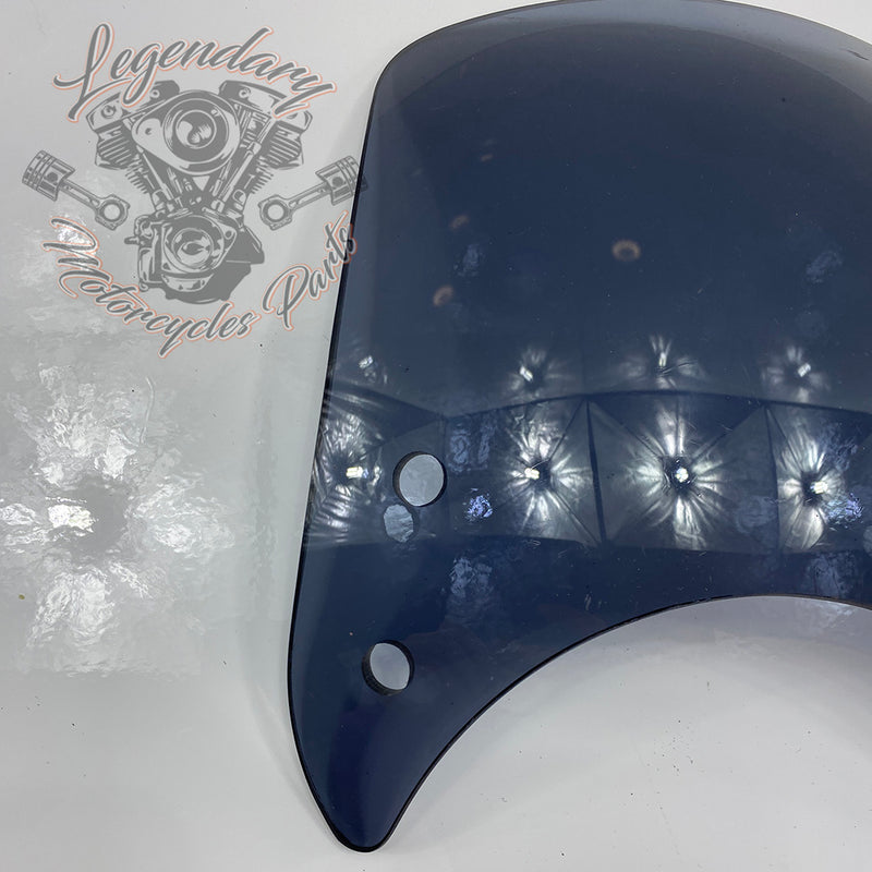 Windshield OEM 57400184