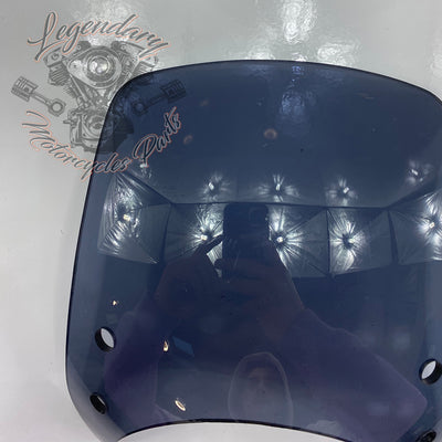 Windshield OEM 57400184