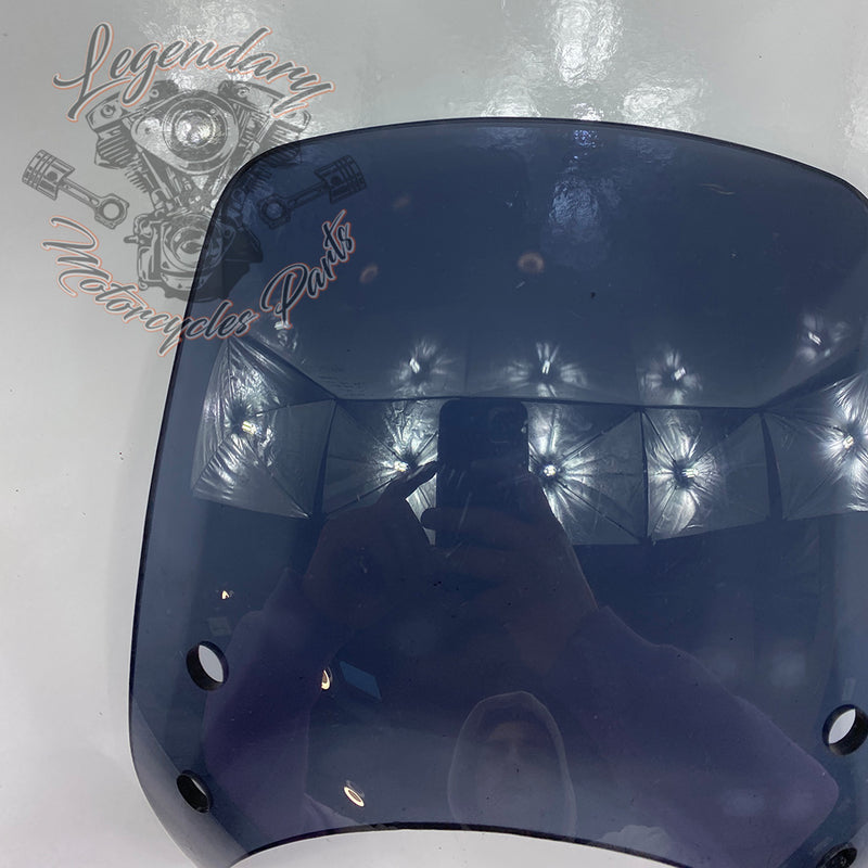 Windshield OEM 57400184