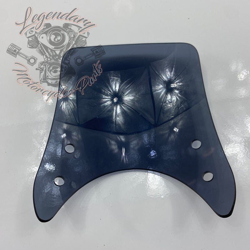 Windshield OEM 57400184