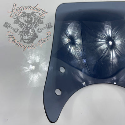Windshield OEM 57400184