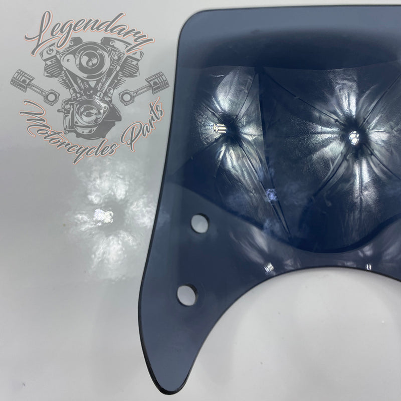 Windshield OEM 57400184
