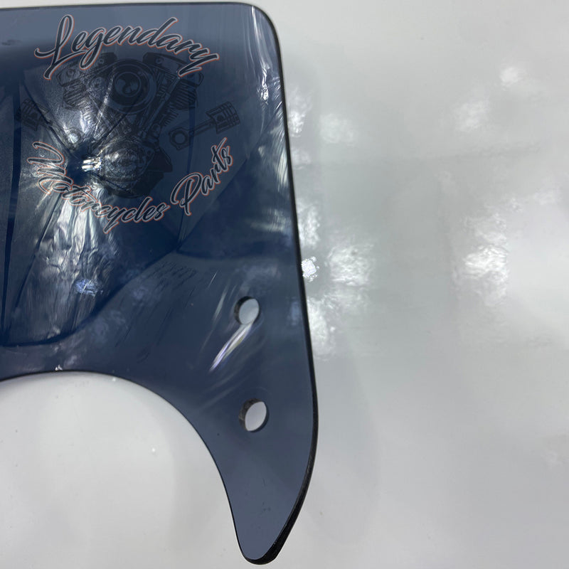 Windshield OEM 57400184