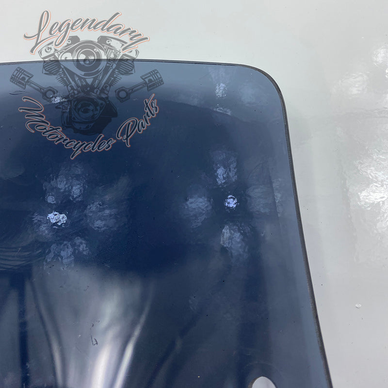 Windshield OEM 57400184