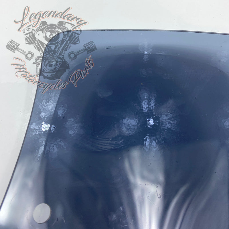 Windshield OEM 57400184