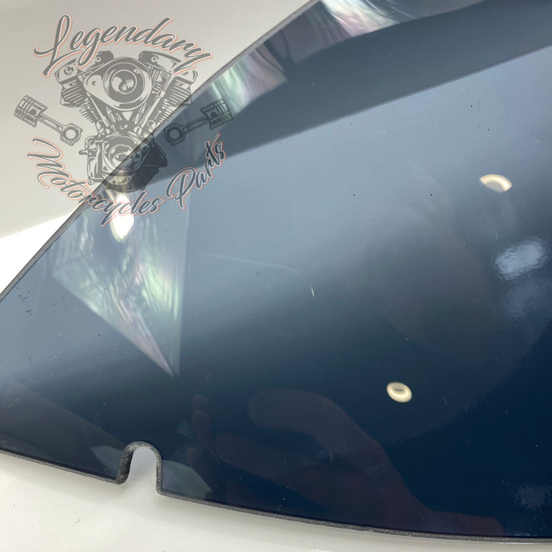 Windscreen OEM 57400303