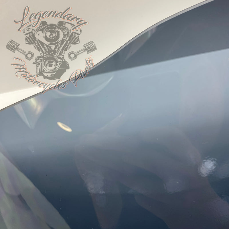 Windscreen OEM 57400303