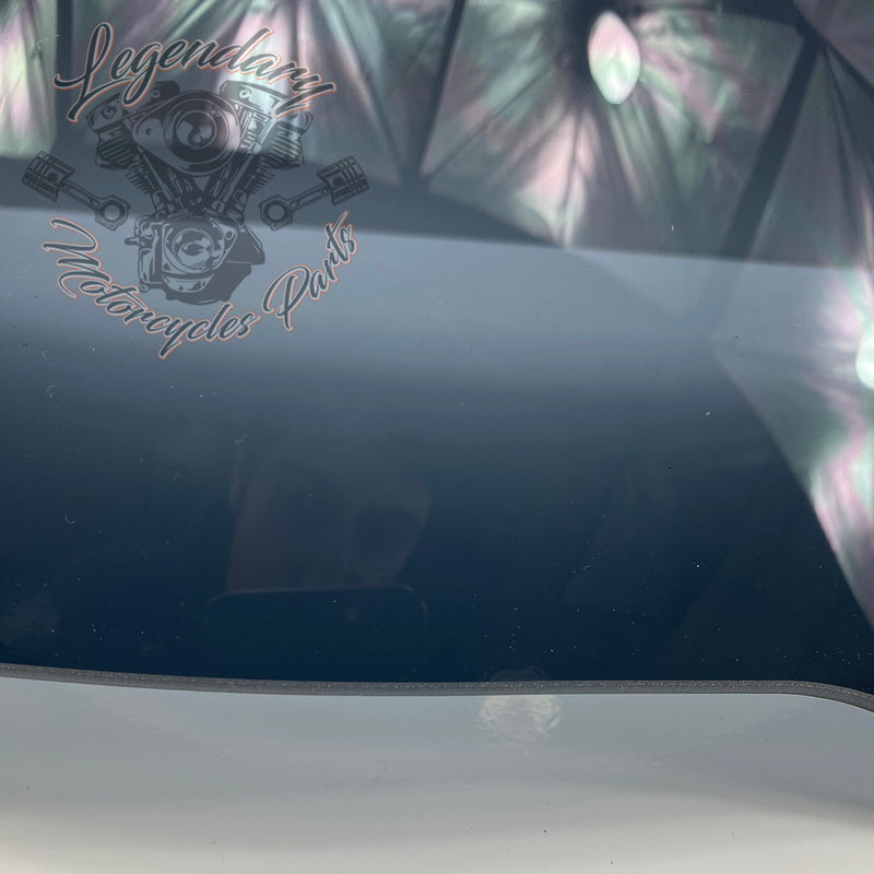 Windscreen OEM 57400303