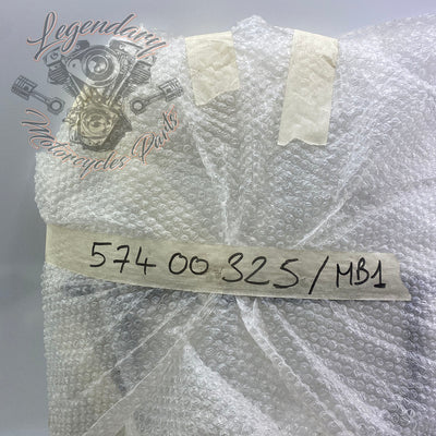 Windshield OEM 57400325