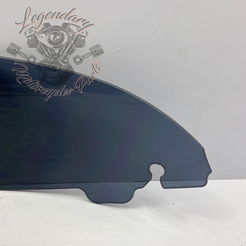 Windshield OEM 57400058