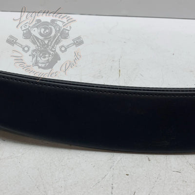 Inner Fairing Trim OEM 58262-05