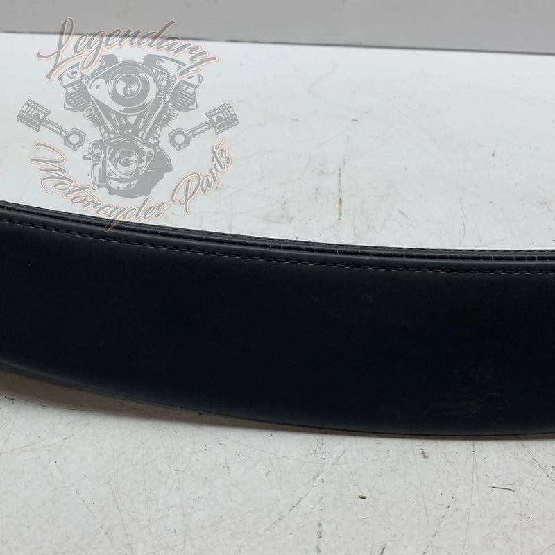 Inner Fairing Trim OEM 58262-05