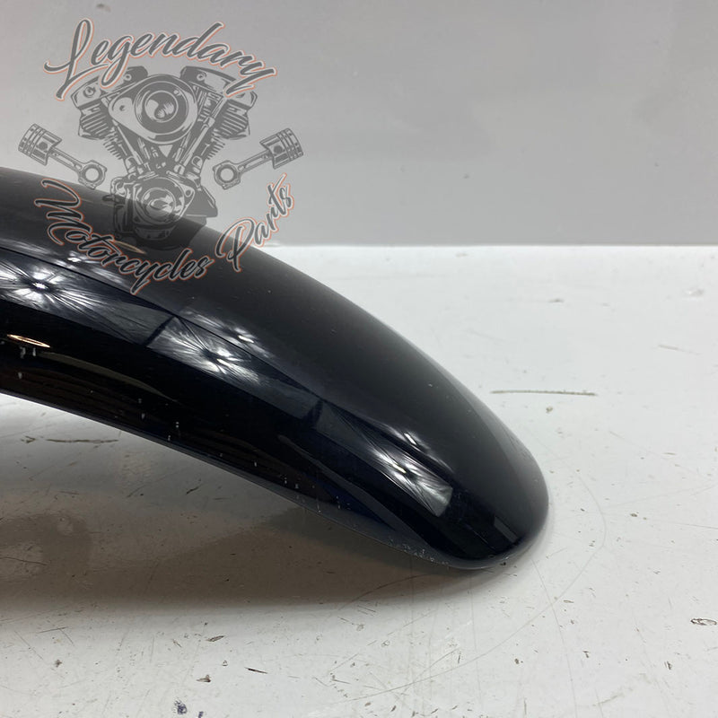 Front mudguard OEM 58900069DH