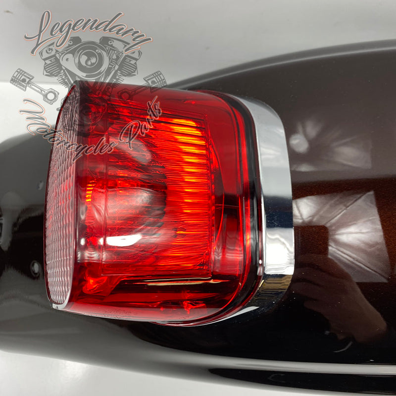 Guardabarros trasero OEM 59500086DGM