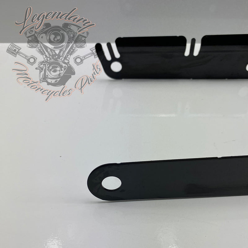 INTROVABILE Supporto targa OEM 59500448