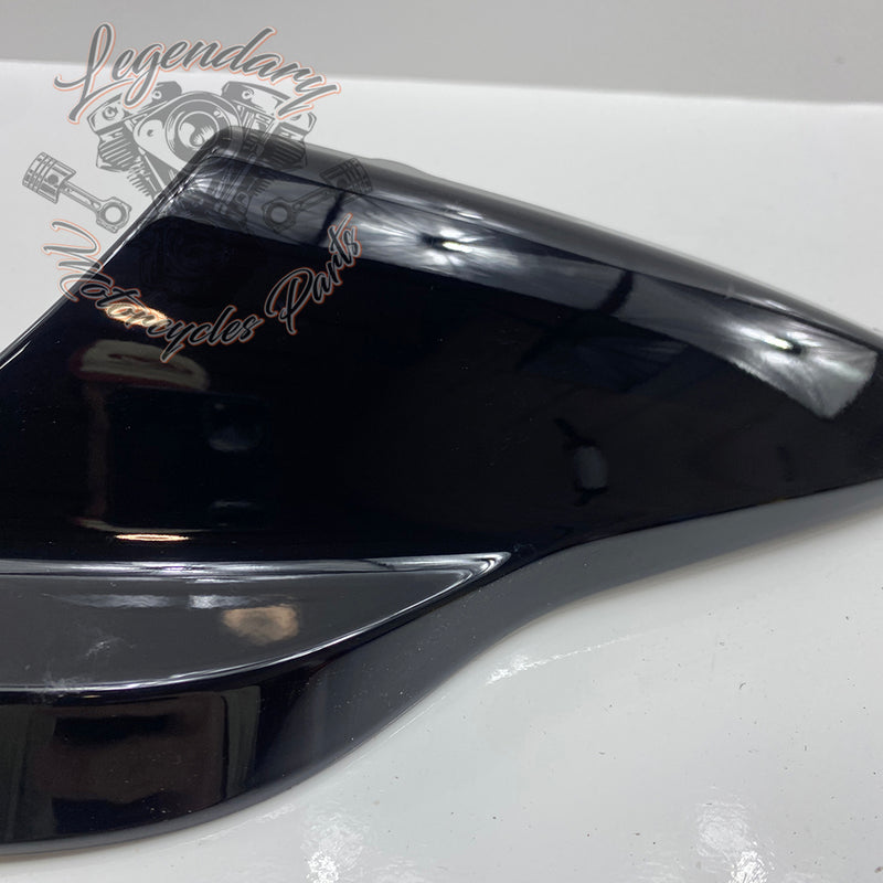 Guardabarros trasero OEM 59500845
