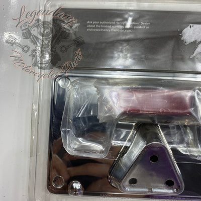 Kentekenplaathouder OEM 60193-07