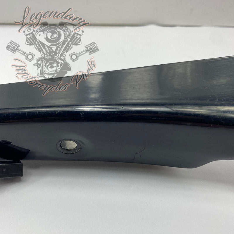 Cover saber and right indicator OEM 60203-06