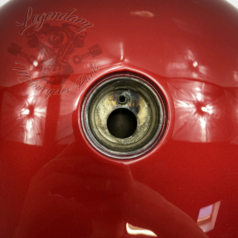 Réservoir OEM 61000167EFG