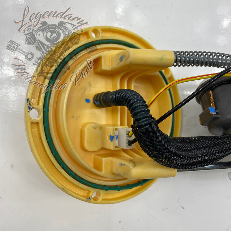 Fuel pump OEM 61200062