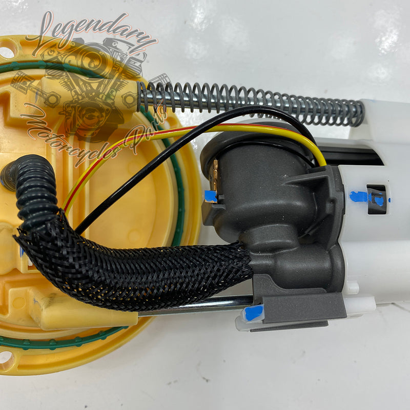 Fuel Pump OEM 61200062