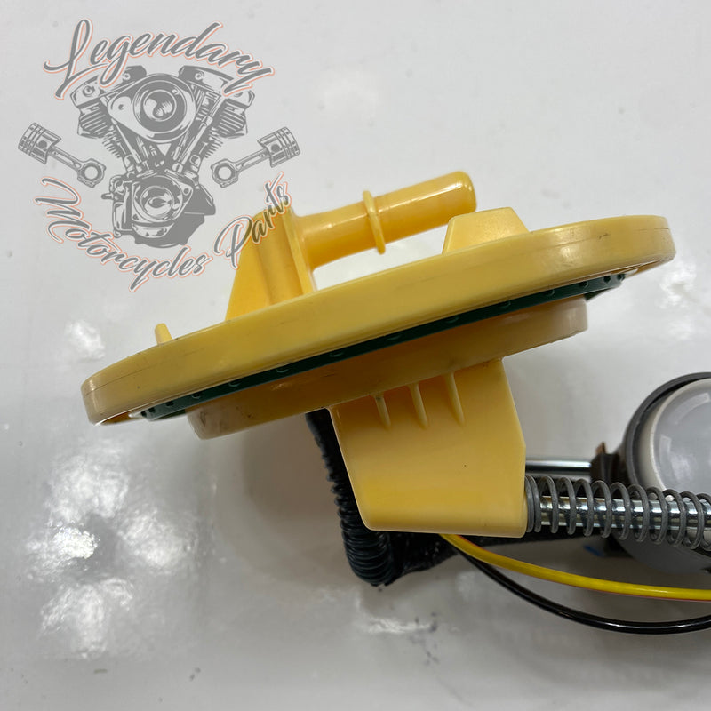 Fuel pump OEM 61200062