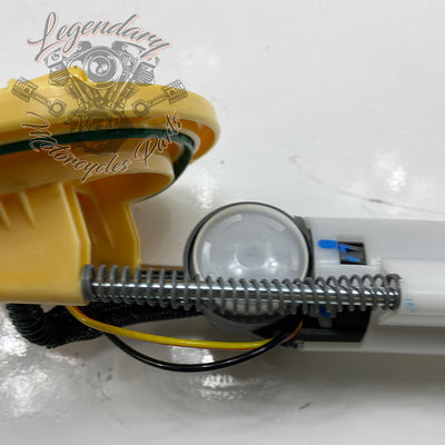 Fuel pump OEM 61200062