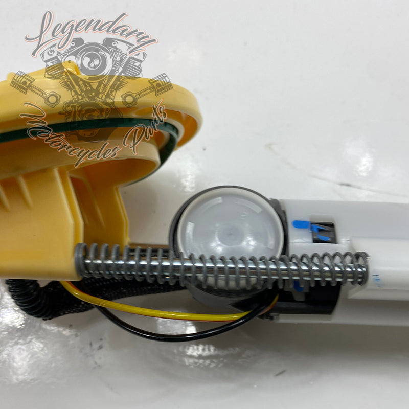 Fuel pump OEM 61200062