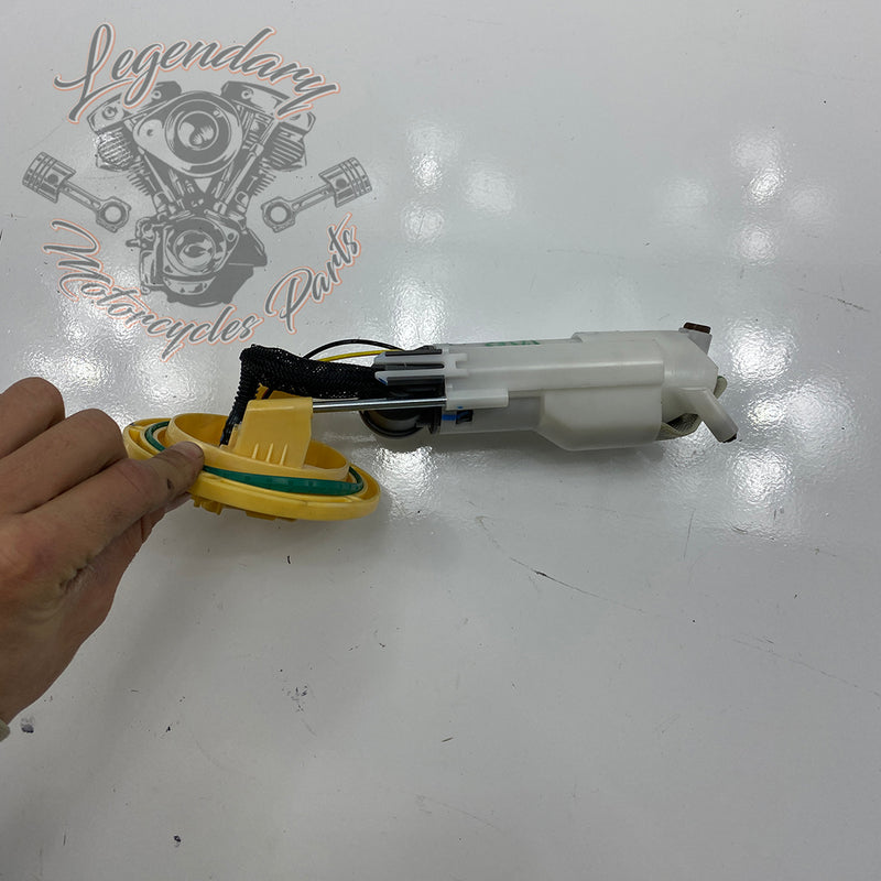 Fuel pump OEM 61200062