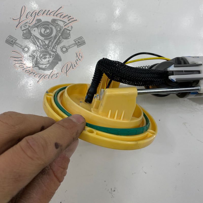 Fuel pump OEM 61200062